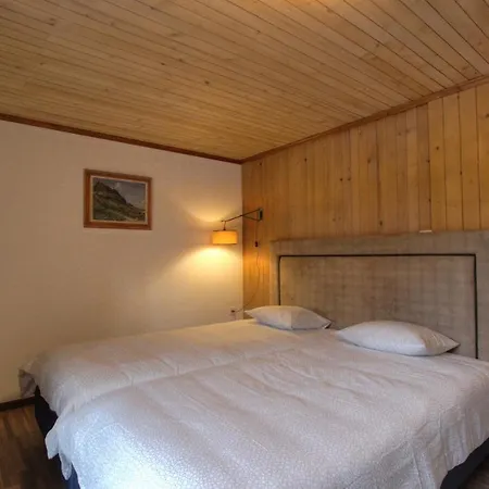 Tondela Appartement Chateau-d'Oex